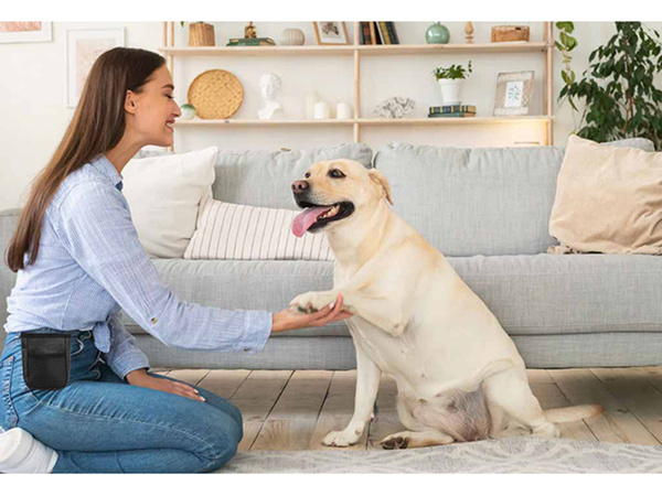 Пакетик с лакомством для собак мешок для лакомства дрессировщик