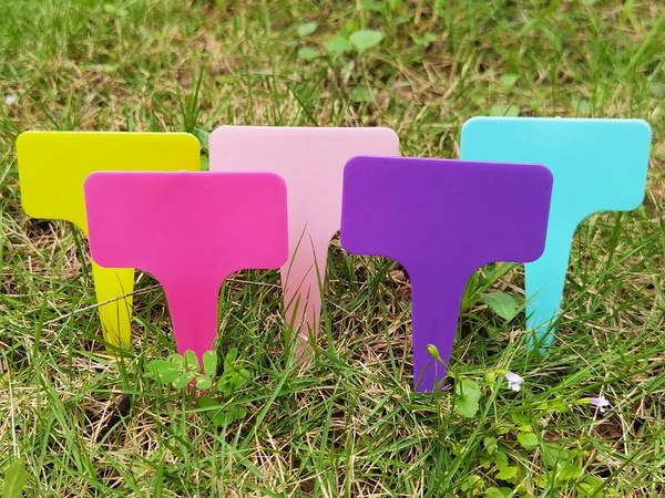 Növényleírás táblák vetés jellemzők 50db