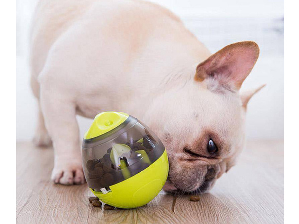 Zabawka interaktywna dla psa piłka na smakołyki