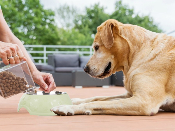 1200ml metal dog cat feeding bowl large