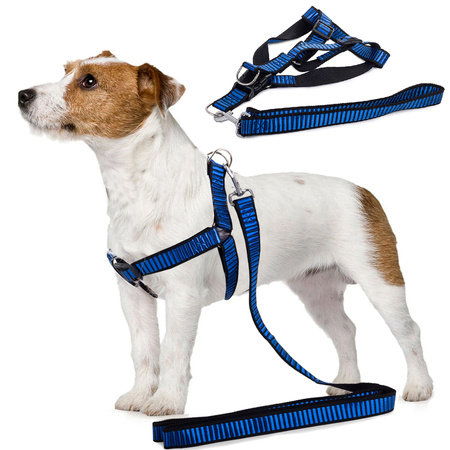 Lanyard con armarios para perros gatos fuerte 2.5cm