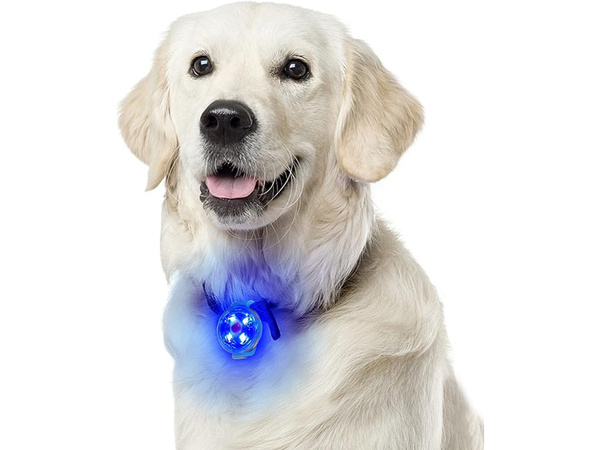 Luminaria led para collar de perro collar de gato colgante usb