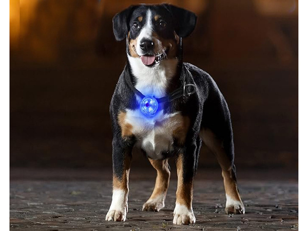 Luminaria led para collar de perro collar de gato colgante usb