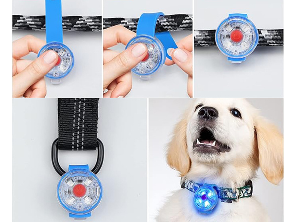 Luminaria led para collar de perro collar de gato colgante usb