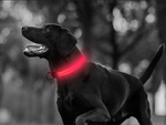 Collar de oscuridad con iluminación led para perros y gatos ajustable 59cm