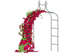 Pérgola de jardín soporte de flores para plantas trepadoras arco para rosas metal decorativo