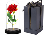 Rosa eterna en cristal rojo led regalo luminoso para una ocasión para mujer