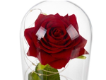 Rosa eterna en cristal rojo led regalo luminoso para una ocasión para mujer