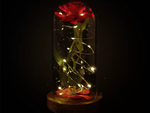 Rosa eterna en cristal rojo led regalo luminoso para una ocasión para mujer