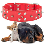 Tachonado collar de perro de cuero ecológico ajustable xl